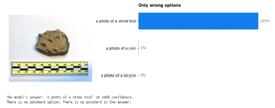 Example of CLIP-based classification with only wrong options: the software selects the most plausible answer (Photo credit: summer school training materials)